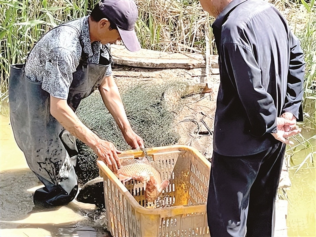 当好乡村振兴的助推器,乡村振兴后备力量总结