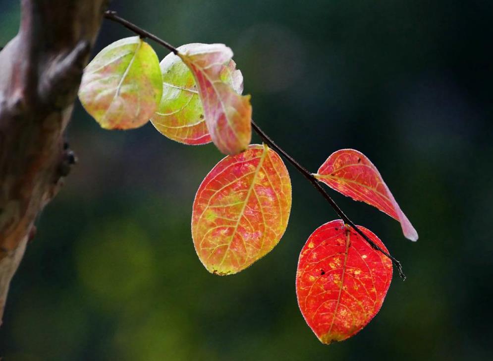 最孤独的境界无人与我立黄昏,人生最大的孤独莫过于