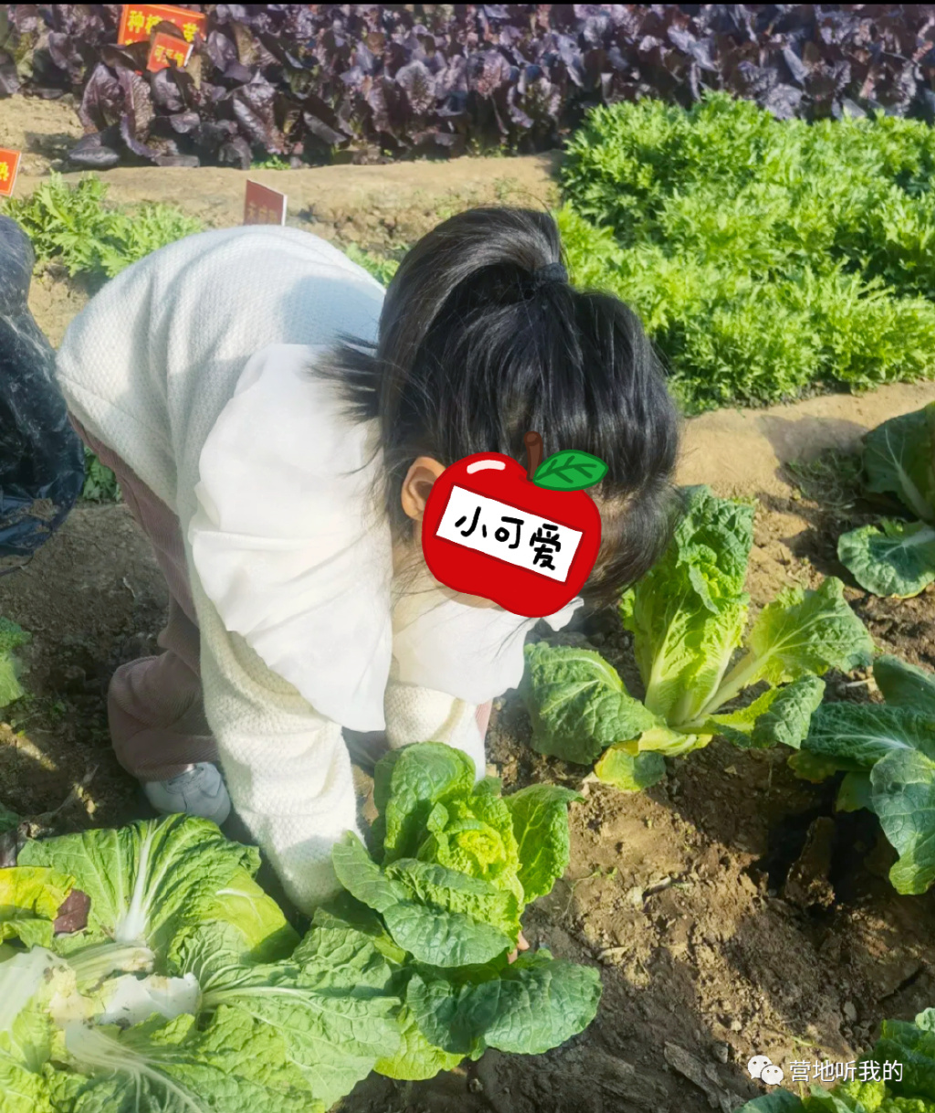 北京亲子游玩农场推荐地点,北京带孩子值得去的农场