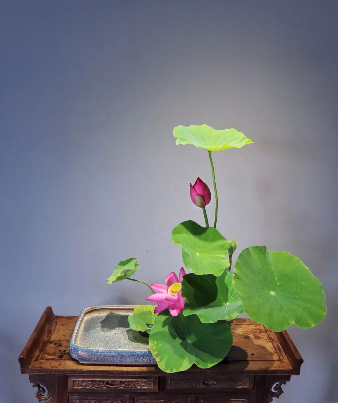 日本顶级禅意插花荷花,日式荷花插花