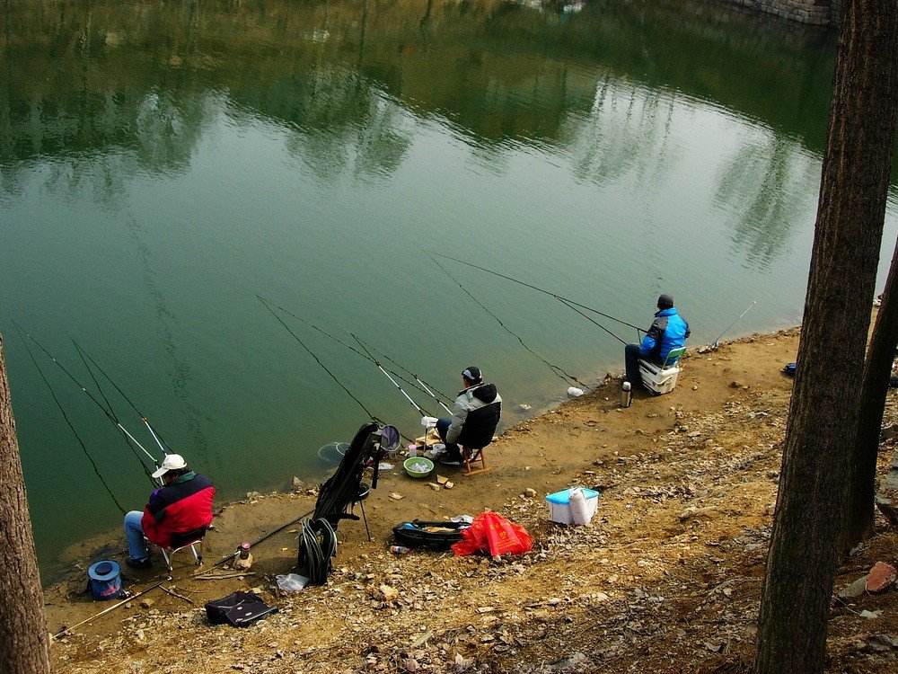 惊蛰前几天钓鱼怎么选择钓位,惊蛰夜钓鱼口大吗