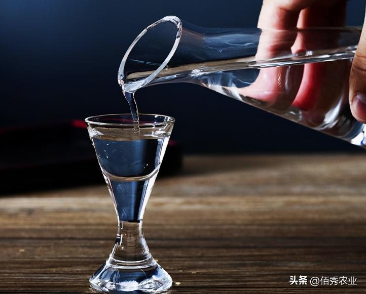 洋河天之蓝梦之蓝海之蓝怎么区分,洋河酒梦之蓝和海之蓝天之蓝区别