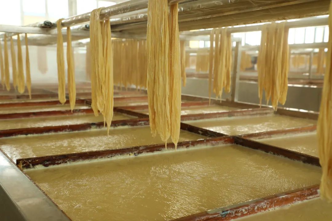 响铃卷腐竹,正宗社坡腐竹视频