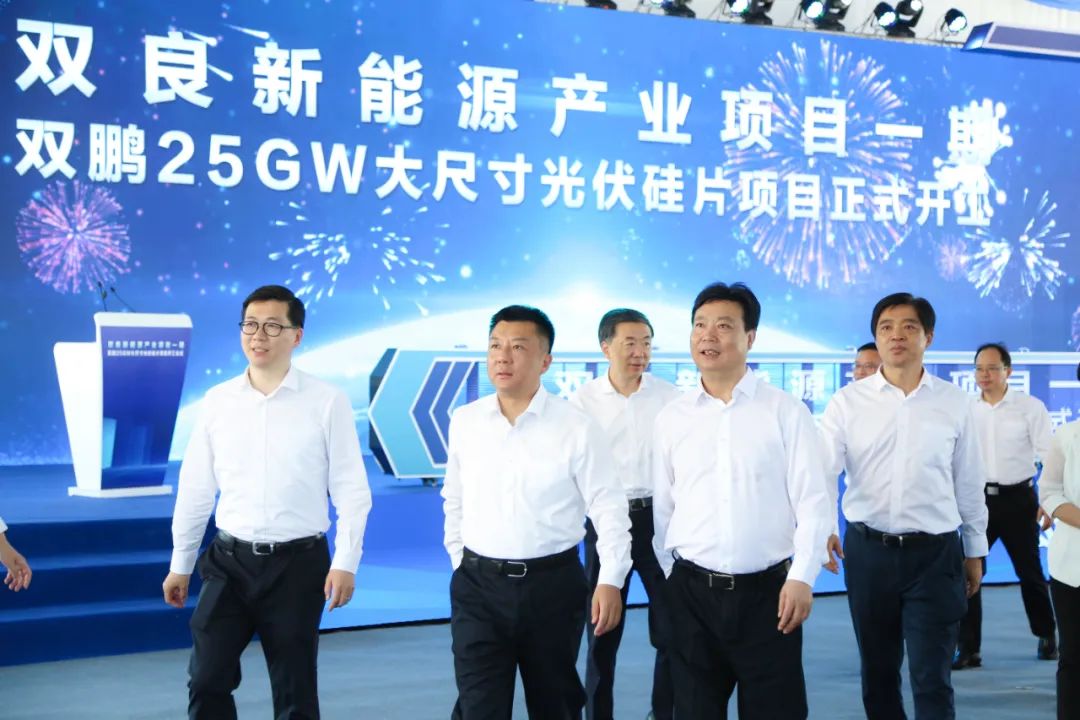 新霖飞投资有限公司,新霖飞光伏发电