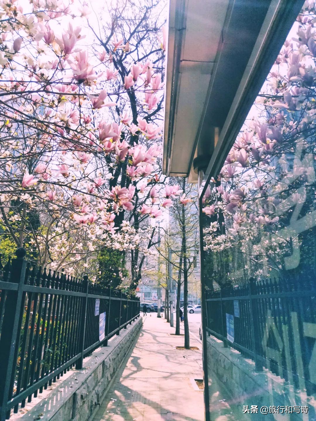 大连十大网红打卡圣地一网打尽,大连新晋网红打卡地东西价格