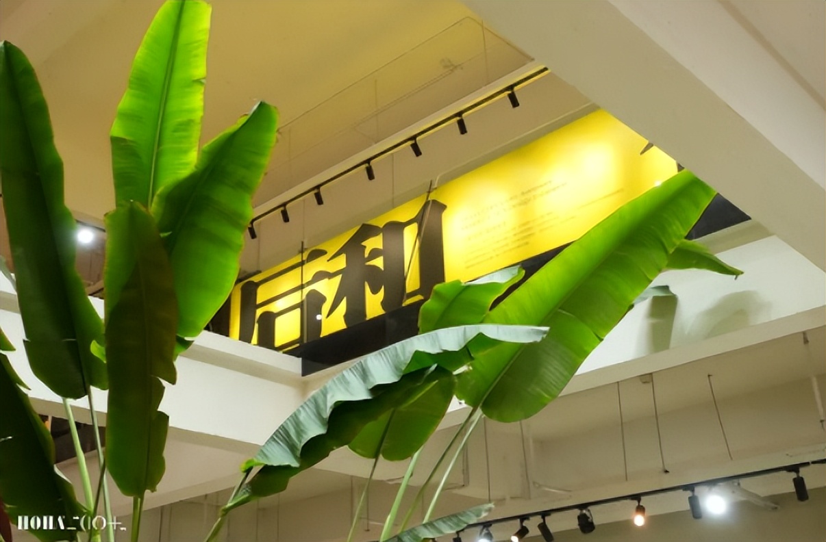 超多缤纷活动抢先看！这里有“暑”不尽的快乐