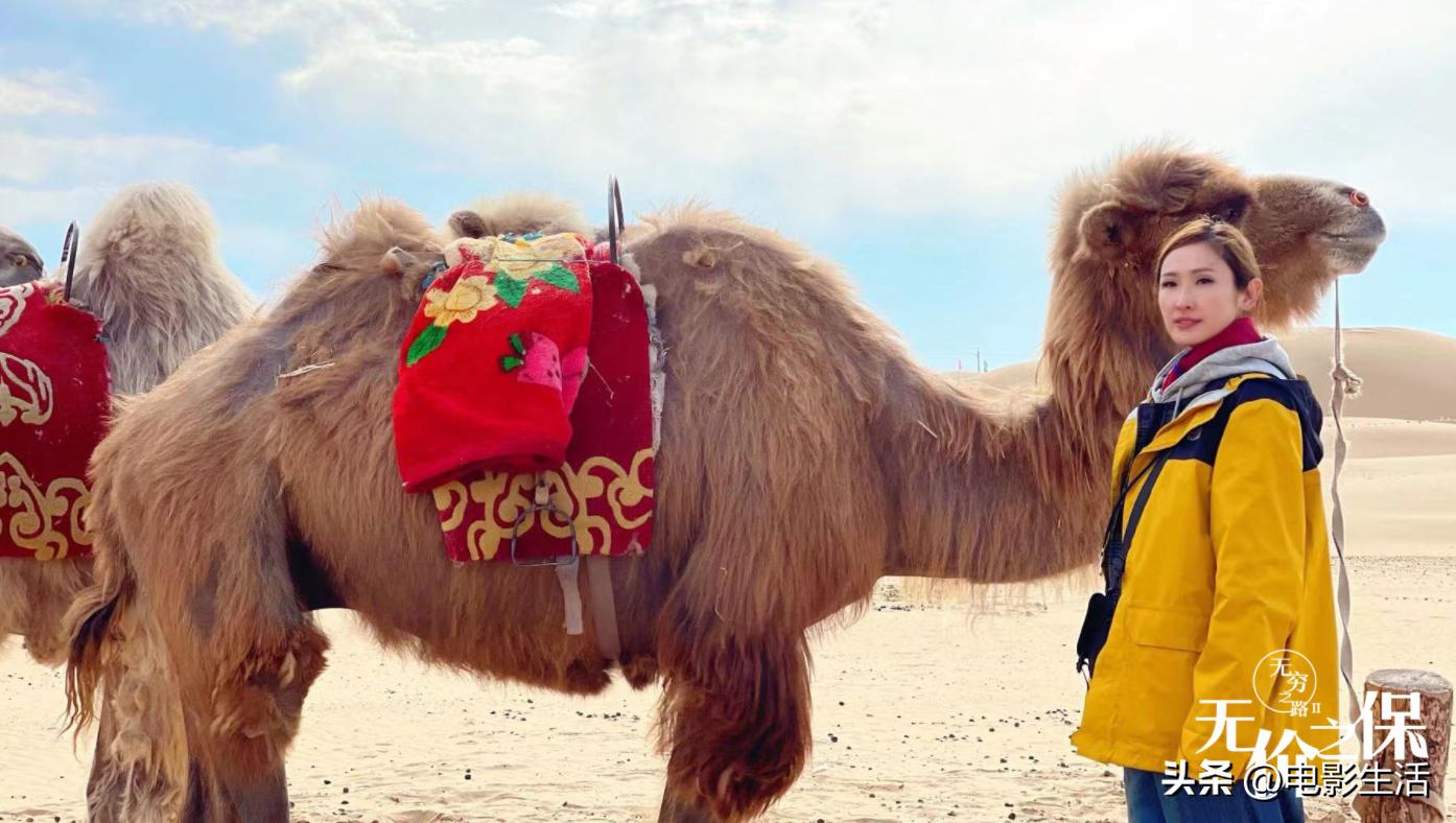 这部华语悬疑剧黑马全程高能,豆瓣高分黑马剧