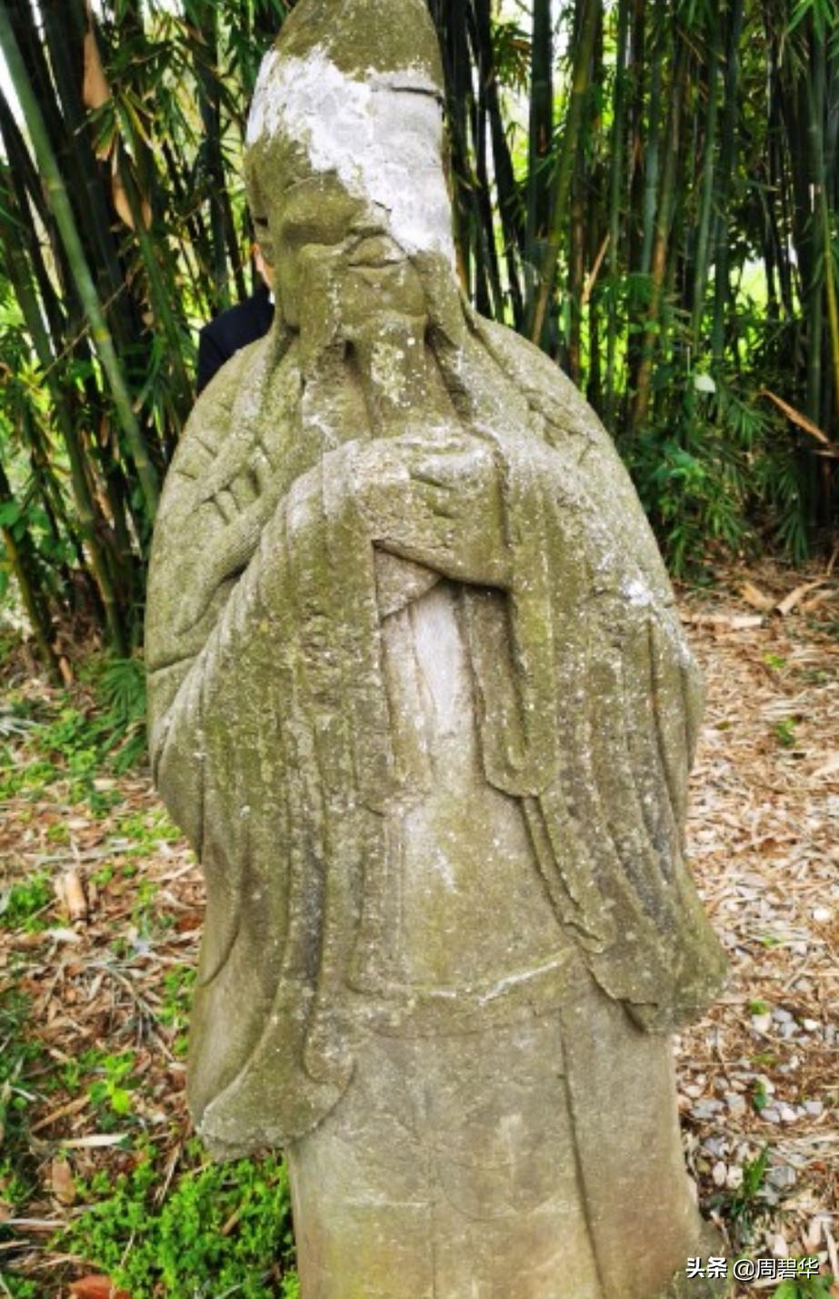 常德市丁玲,常德丁玲最新消息