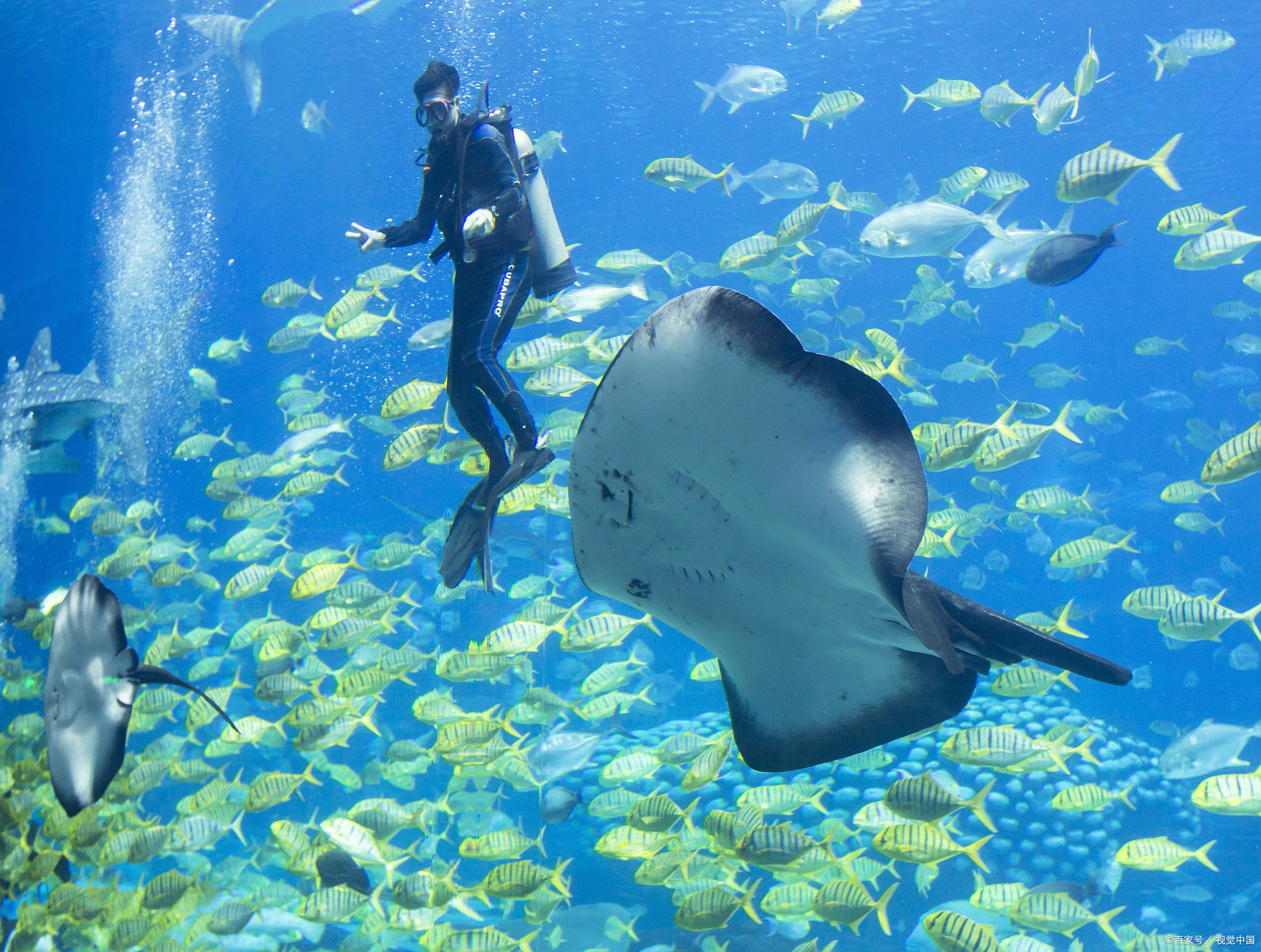 珠海必打卡的10个地方,珠海横琴旅游必去的4个景点