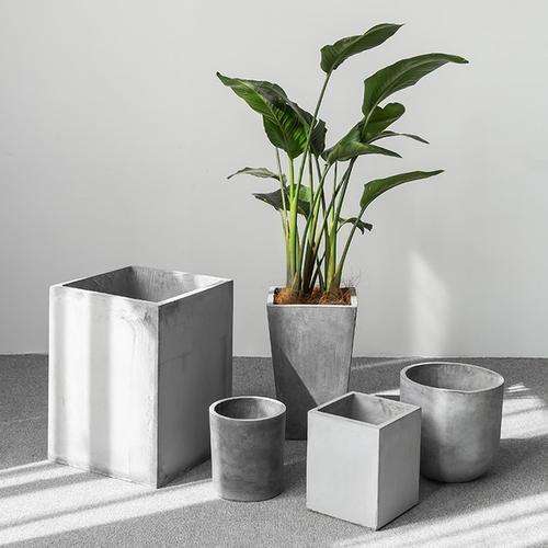 你给花草安的“家”舒心吗？