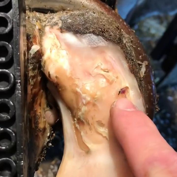 神魔游戏开启,万族争霸,血战神魔!#宝藏小说