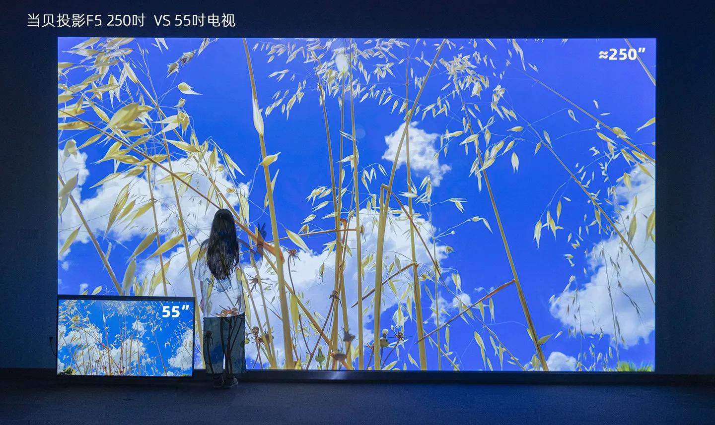 2022世界杯赛程直播时间表一览,2022世界杯直播在哪看完整版