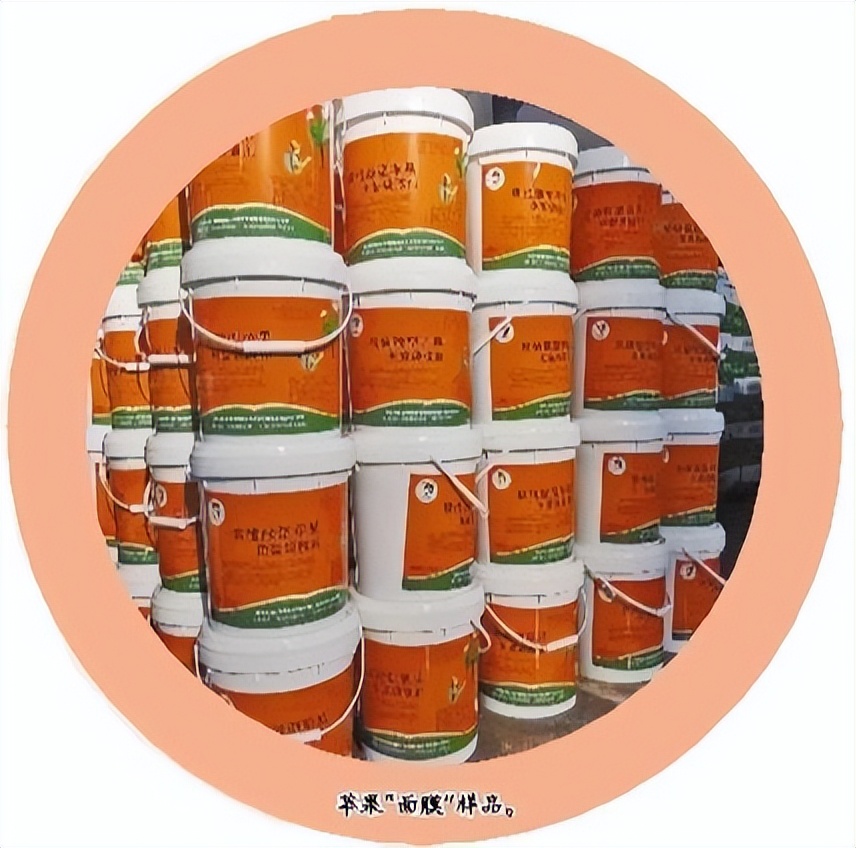 一“片”苹果​“面膜”的诞生