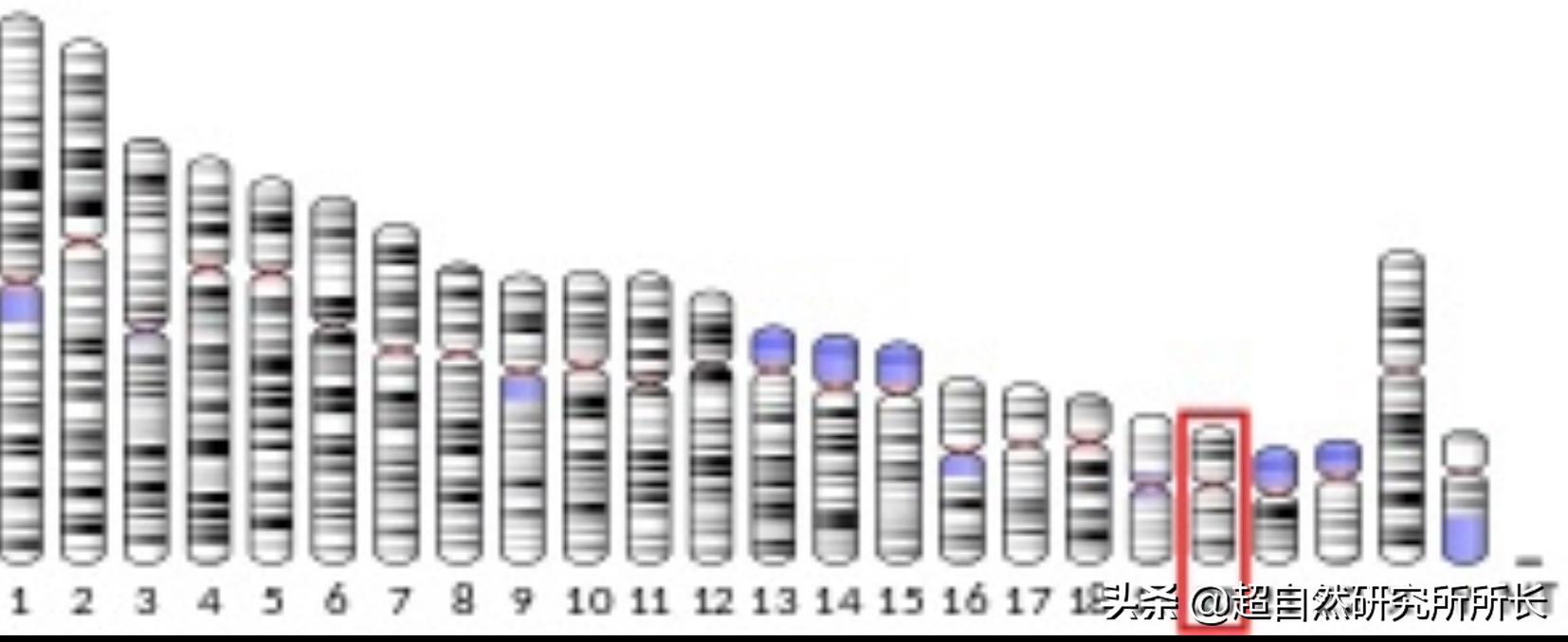 人类真的可能会变丧尸吗,人类有可能变成僵尸吗