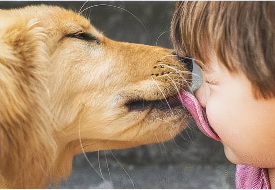 狗狗意外获得超能力从此走向巅峰,狗狗意外获得五环拥有了超能力