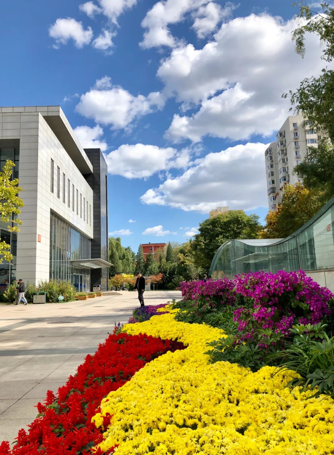 美丽的人民日报大院，我们温暖的家