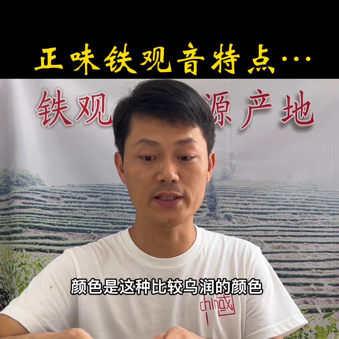 怎么买正味铁观音,铁观音正味跟原味