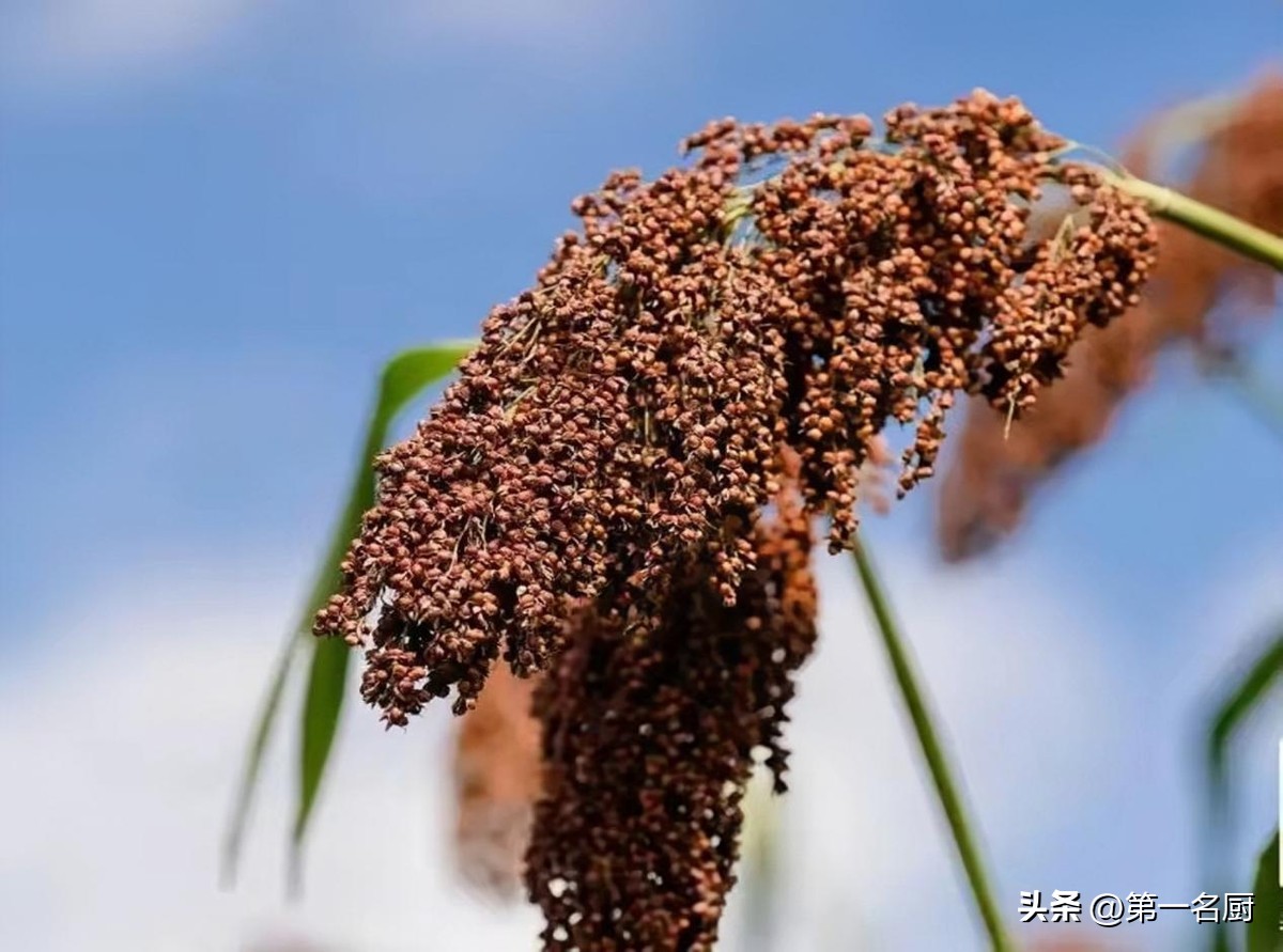 洋河酒天之蓝海之蓝梦之蓝哪个好,洋河酒海之蓝天之蓝的区别