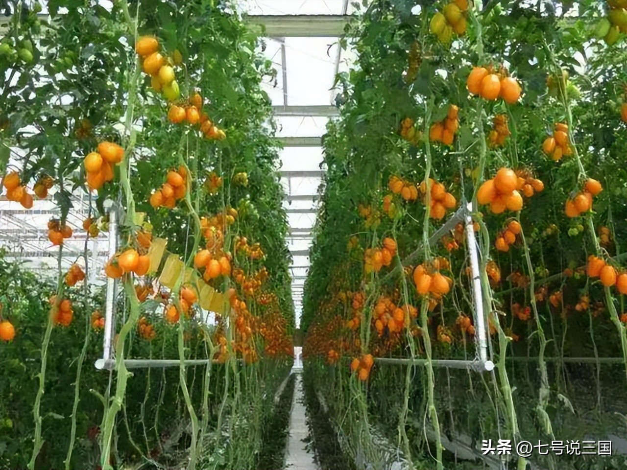 欧盟各国收入排名,欧盟的财政收入对比中国