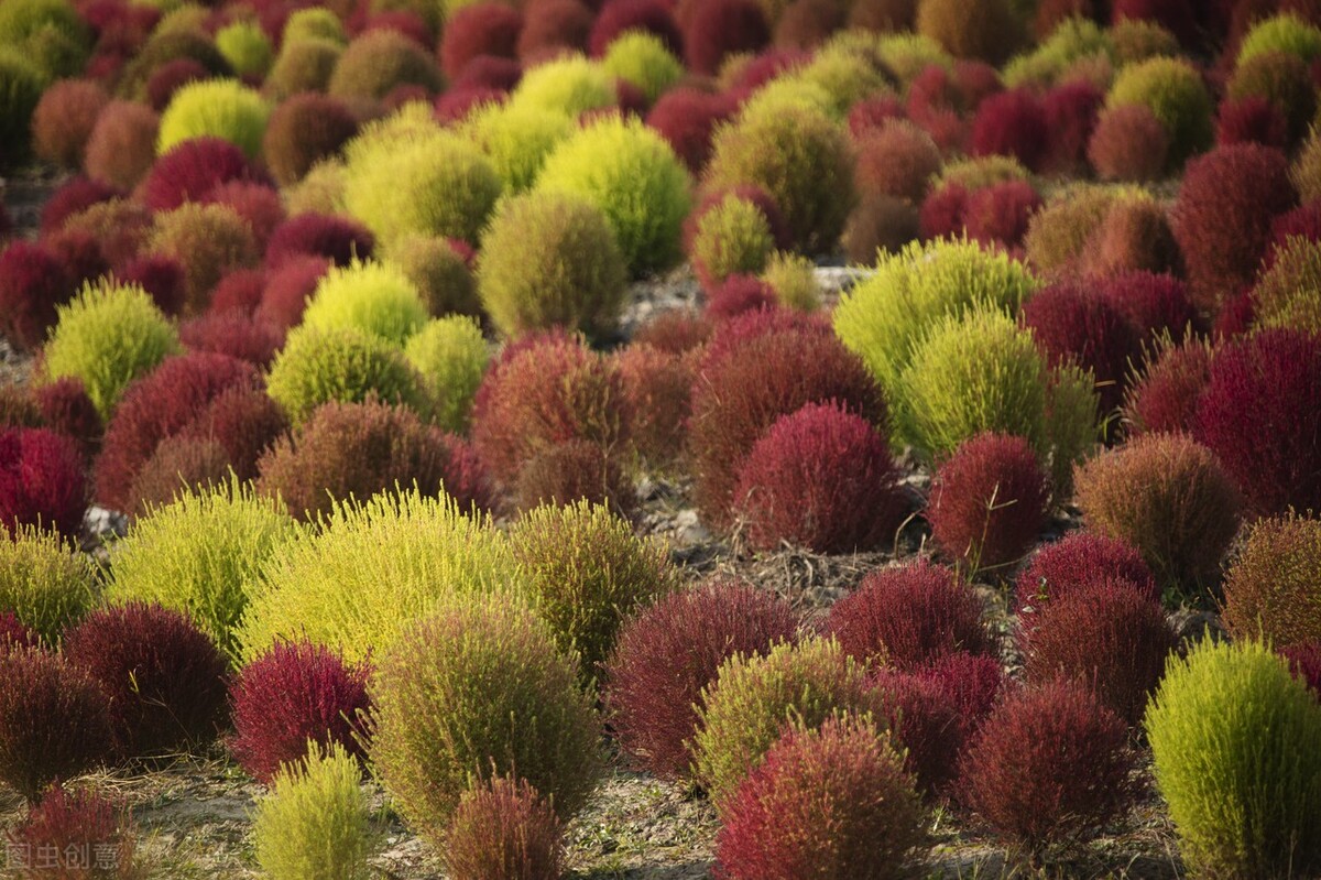 秋日上海好去处,上海秋日风景