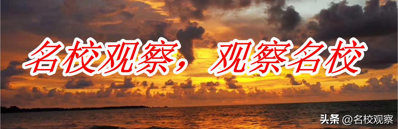 自贡衡川，200余名教职工奋勇向前，跑出一道靓丽的风景线