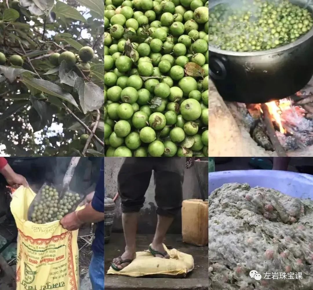 凤眼菩提怎么选才是好的,凤眼菩提挑选标准