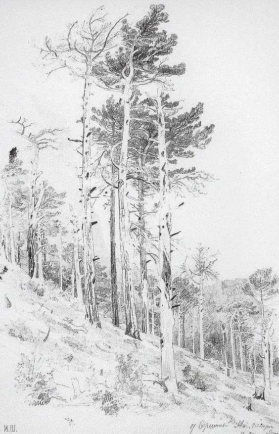 克里米亚雅尔塔旅游视频,克里米亚半岛雅尔塔之旅