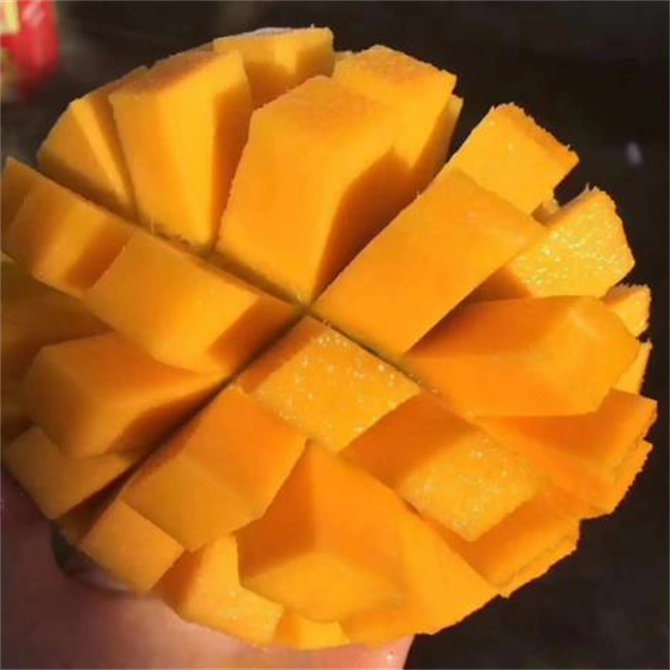 四川攀枝花凯特芒果新鲜大芒果,凯特芒果和椰香芒果有啥区别