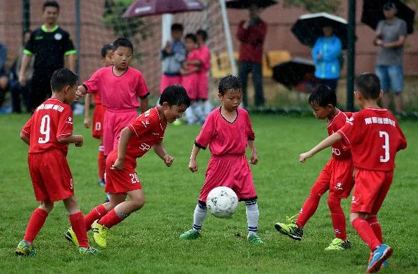 关于中国男足的分析类文章,论中国足球的发展前景