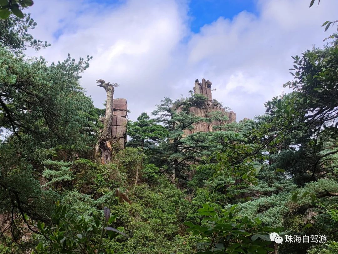 莽山五指峰景区,蟒山国家森林公园旅游攻略