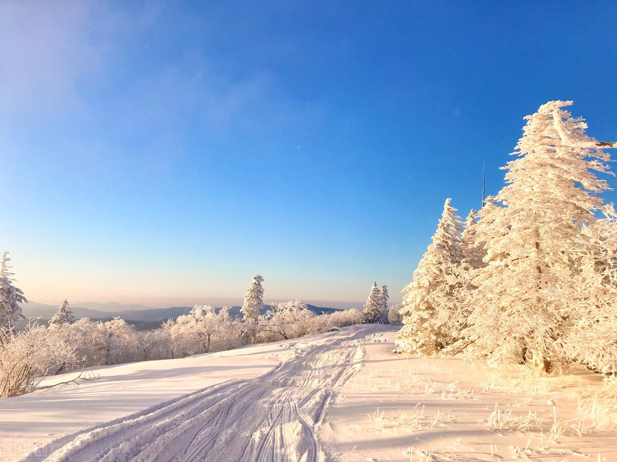 人多的时候看不进去书怎么办,想看书但是没书怎么办