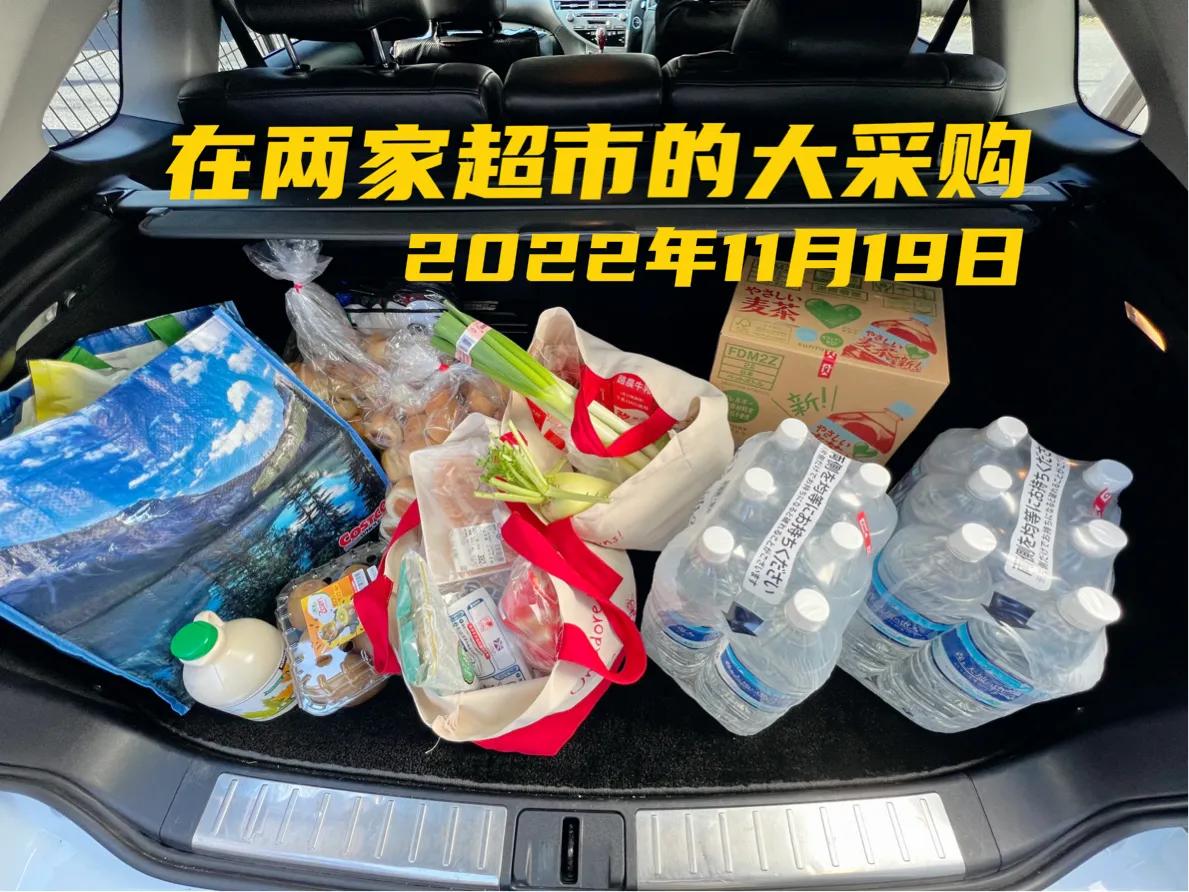 日本一家四口周末在开市客Costco的购物清单2022/11/19
