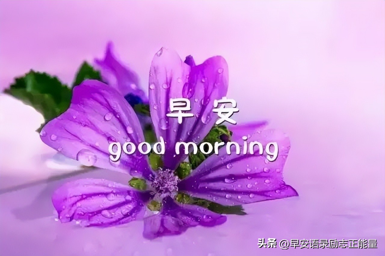 微信早上好正能量经典短语录,微信早晨发圈正能量的句子