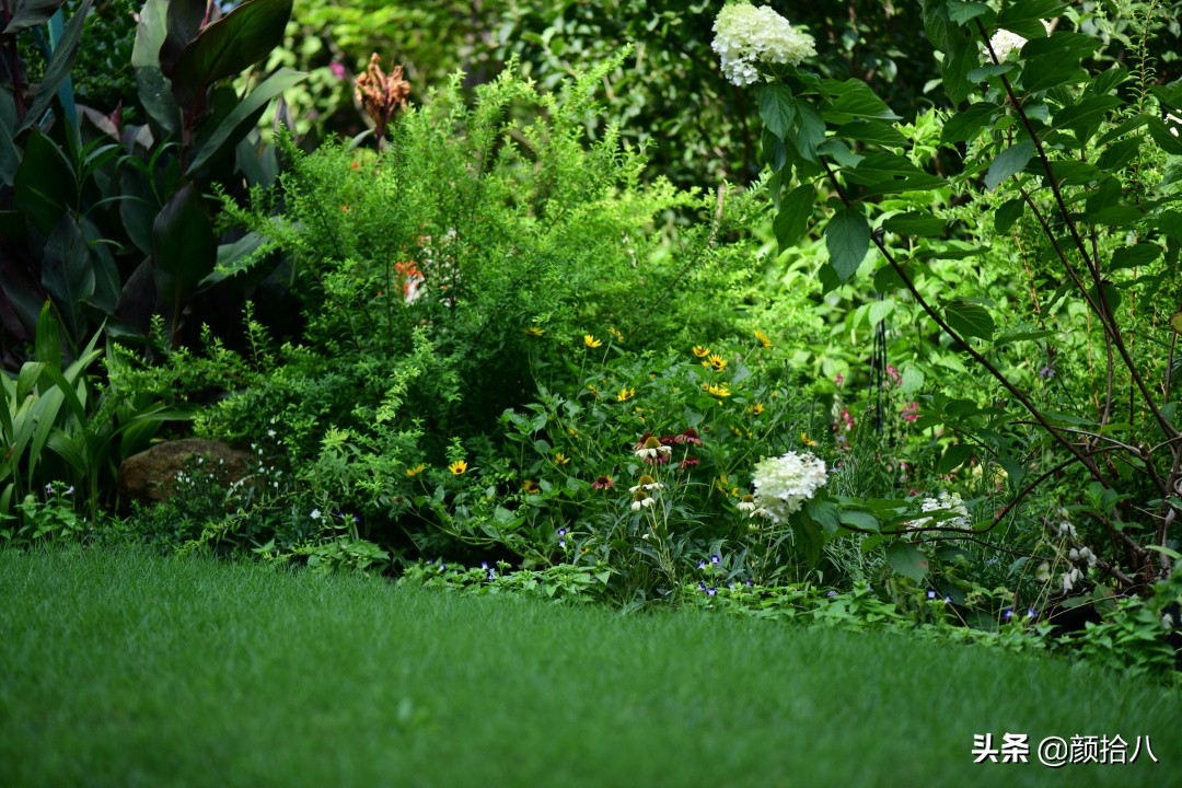 看到你的花园那么惨，我就安心了|园丁