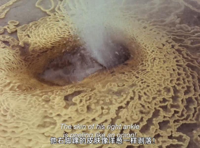 盘点内娱cp18年,内娱哪对cp可能是真的