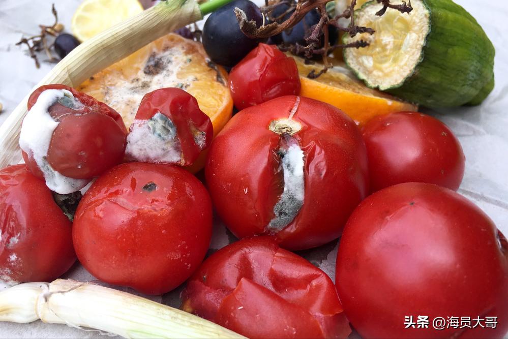 第15章：船终于回国，船员下地目的明确，而我却有大发现