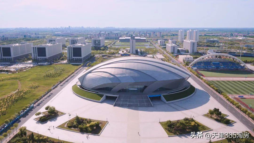 新贵！天津唯一的“学体医”板块，要爆发了！