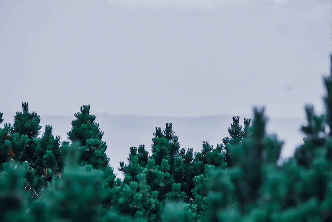 中考物理电学实验题总结,物理中考电学计算题解题思路