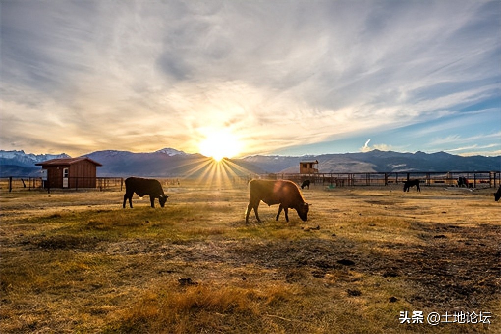 国家扶持农村小成本创业项目,农村新兴行业创业项目