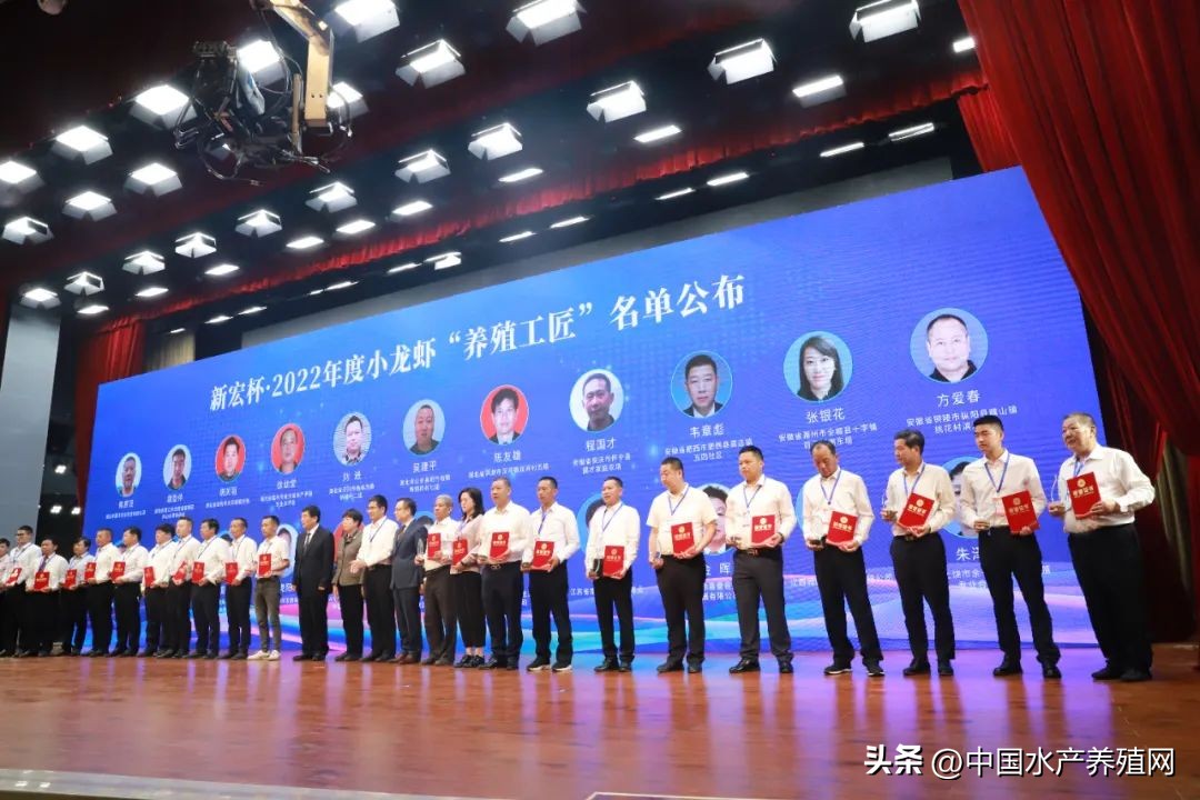 2023年南县小龙虾价格行情,南县小龙虾价格报价