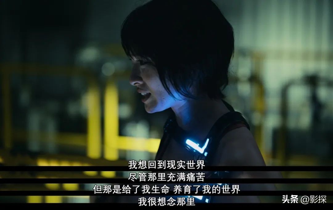 网飞十大神作,网飞的顶级画质