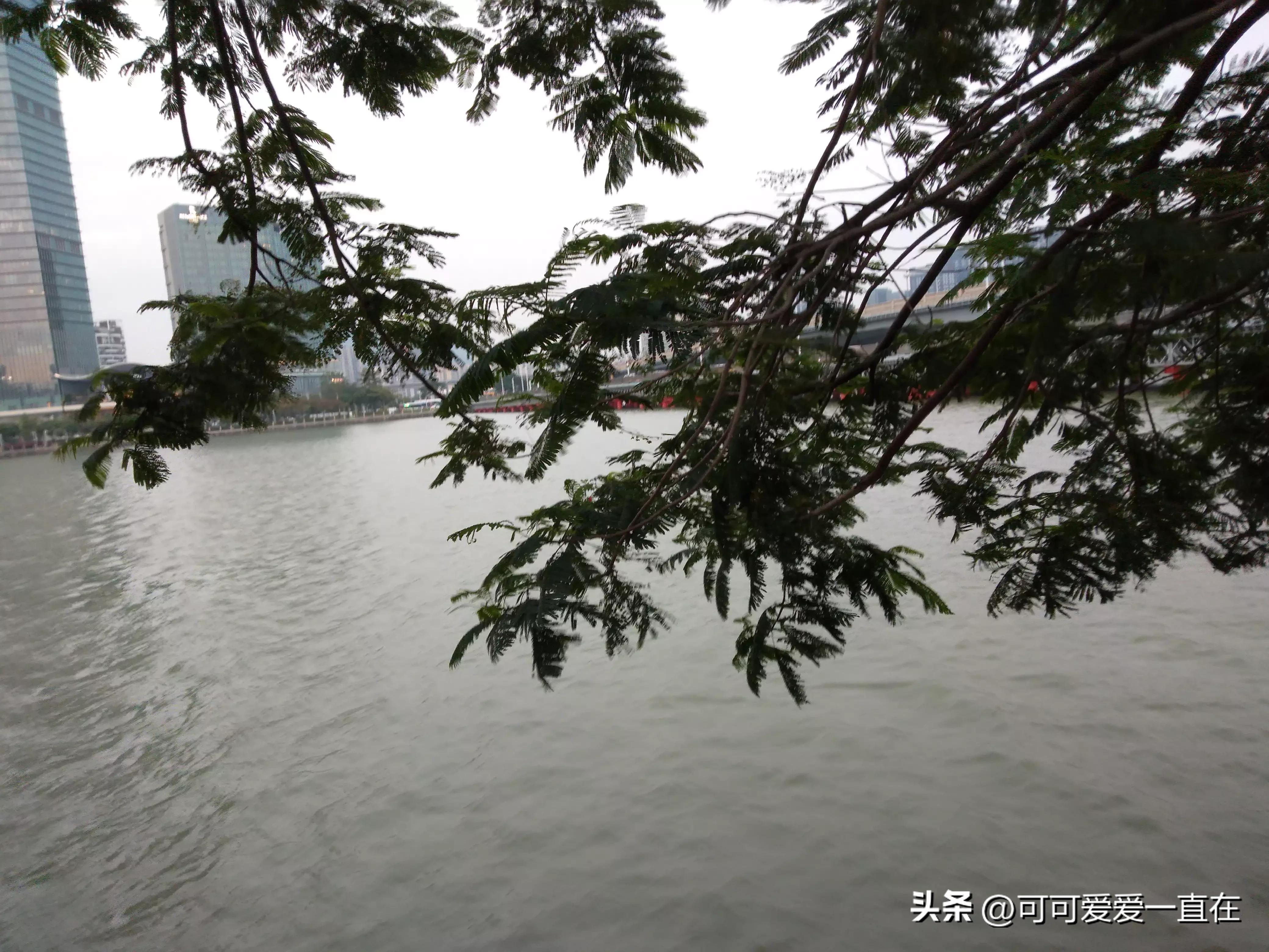 核酸收费,核酸收费多少钱一次