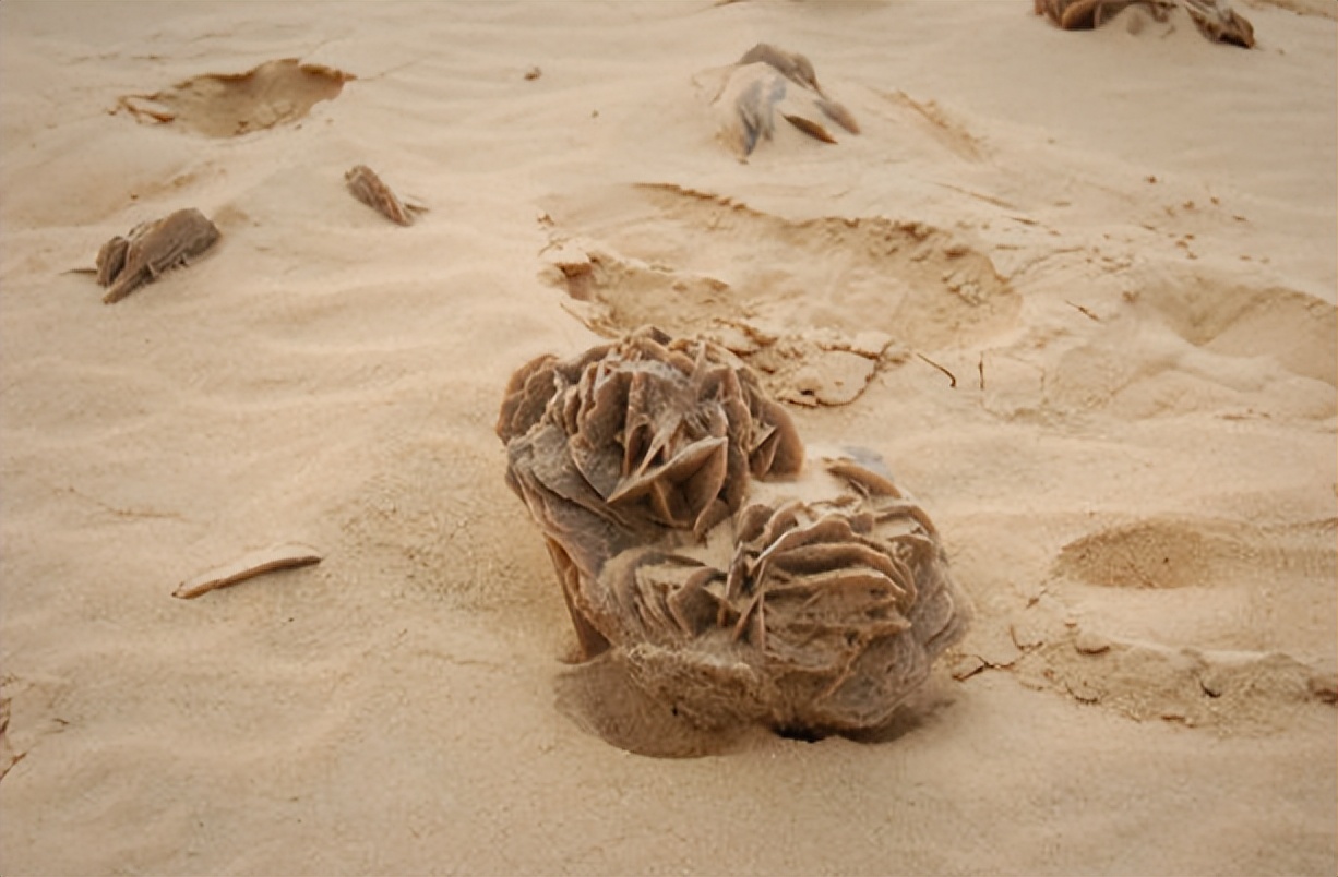沙漠玫瑰原生地景观,沙漠里的沙漠玫瑰奇特景观