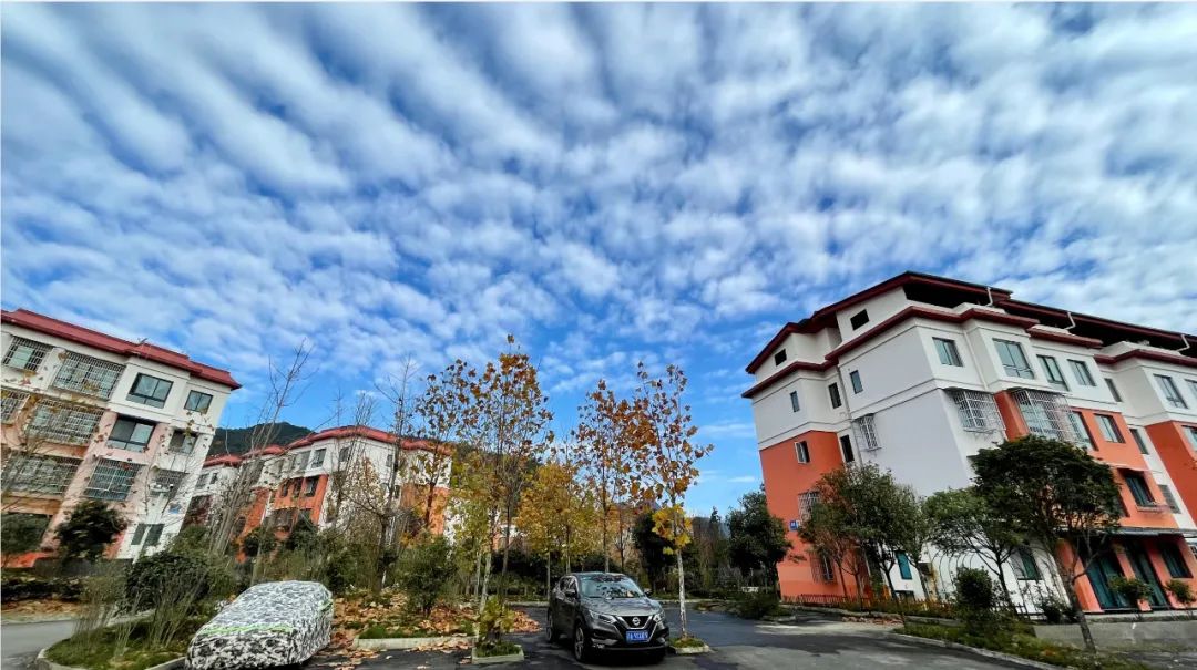 被疫情偷走的这两年故事,被疫情偷走的青春话题