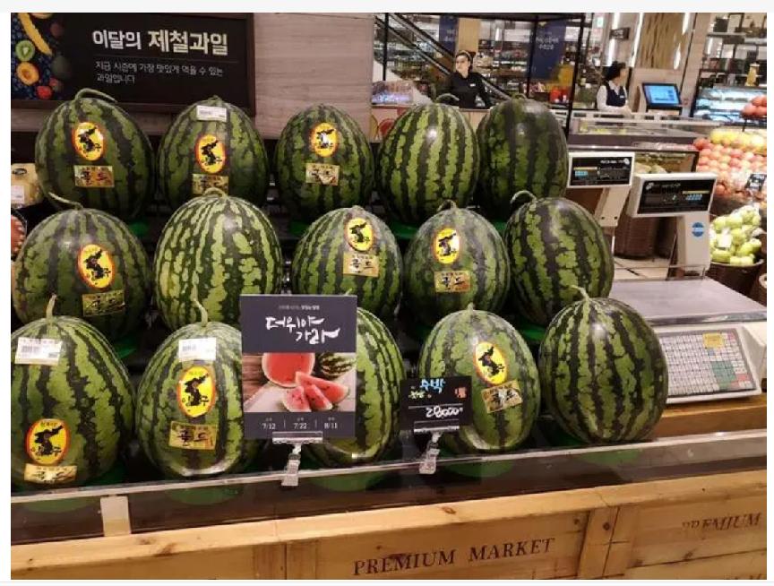 在韩国卖西瓜一个月能赚多少钱,韩国西瓜为什么卖这么贵