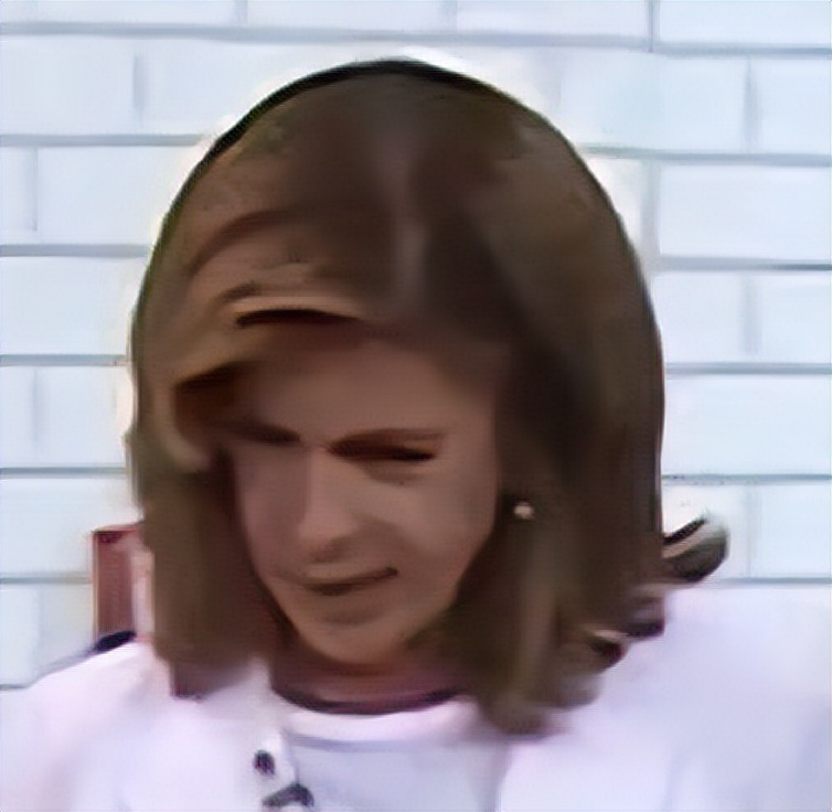 大布直播录屏,大布在直播间被骂哭