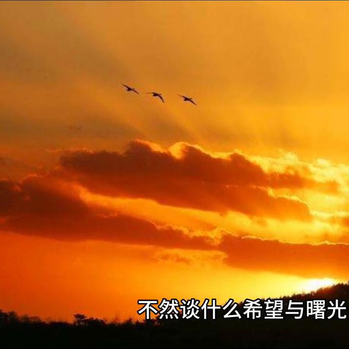 荒岛生存,荒天帝