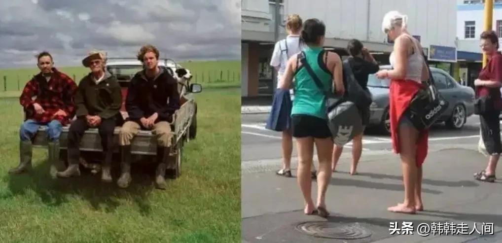 新西兰世界唯一的净土,新西兰一个隐藏的天堂