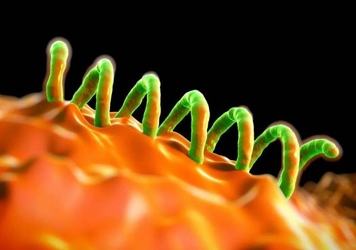 一个单身女人的婚前疑惑,一位单身女性的疑惑