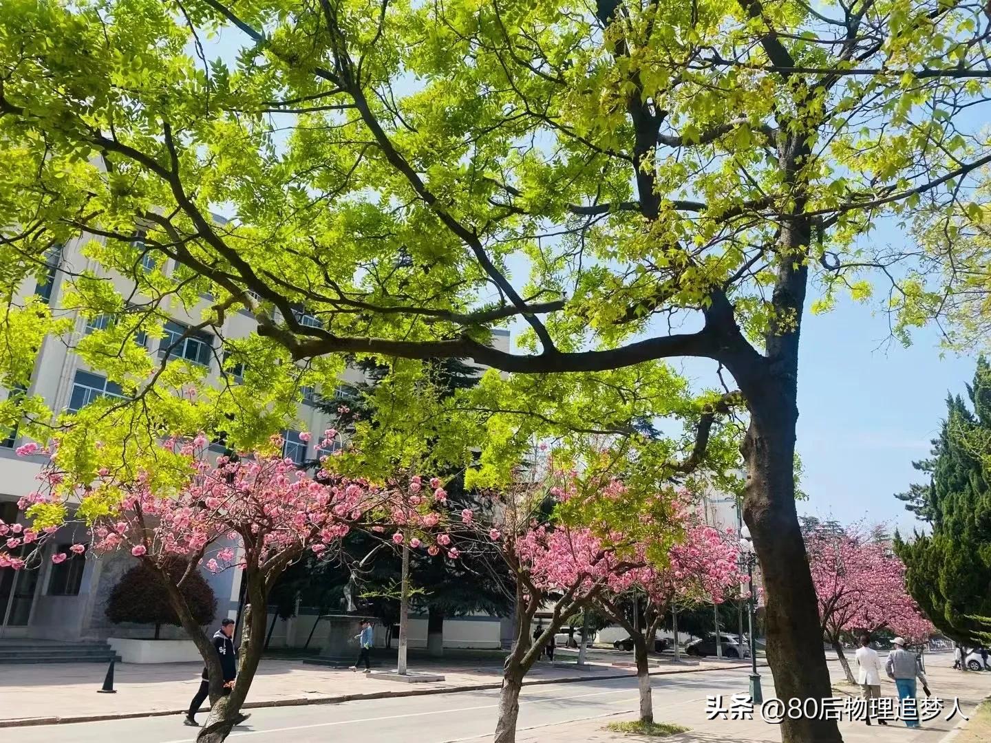 带进宿舍的手机,带入宿舍的手机